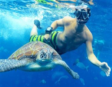  Snorkelling with Sea Turtles