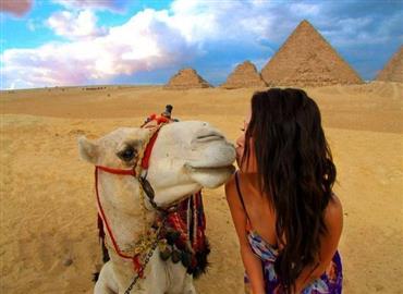 Sphinx Travel Services