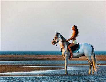 Desert and Sea Horseback Adventure